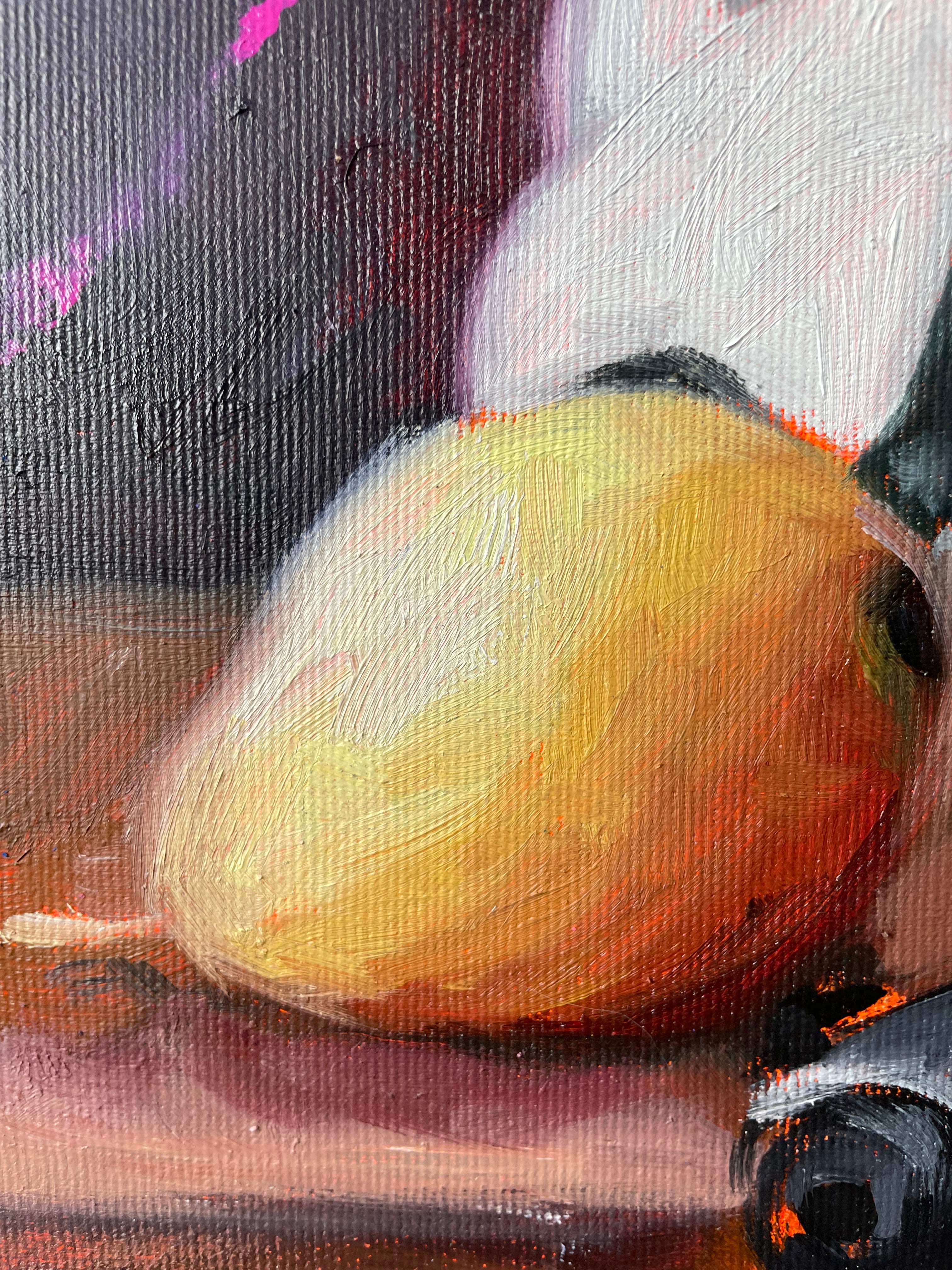 Star Wars Still Life