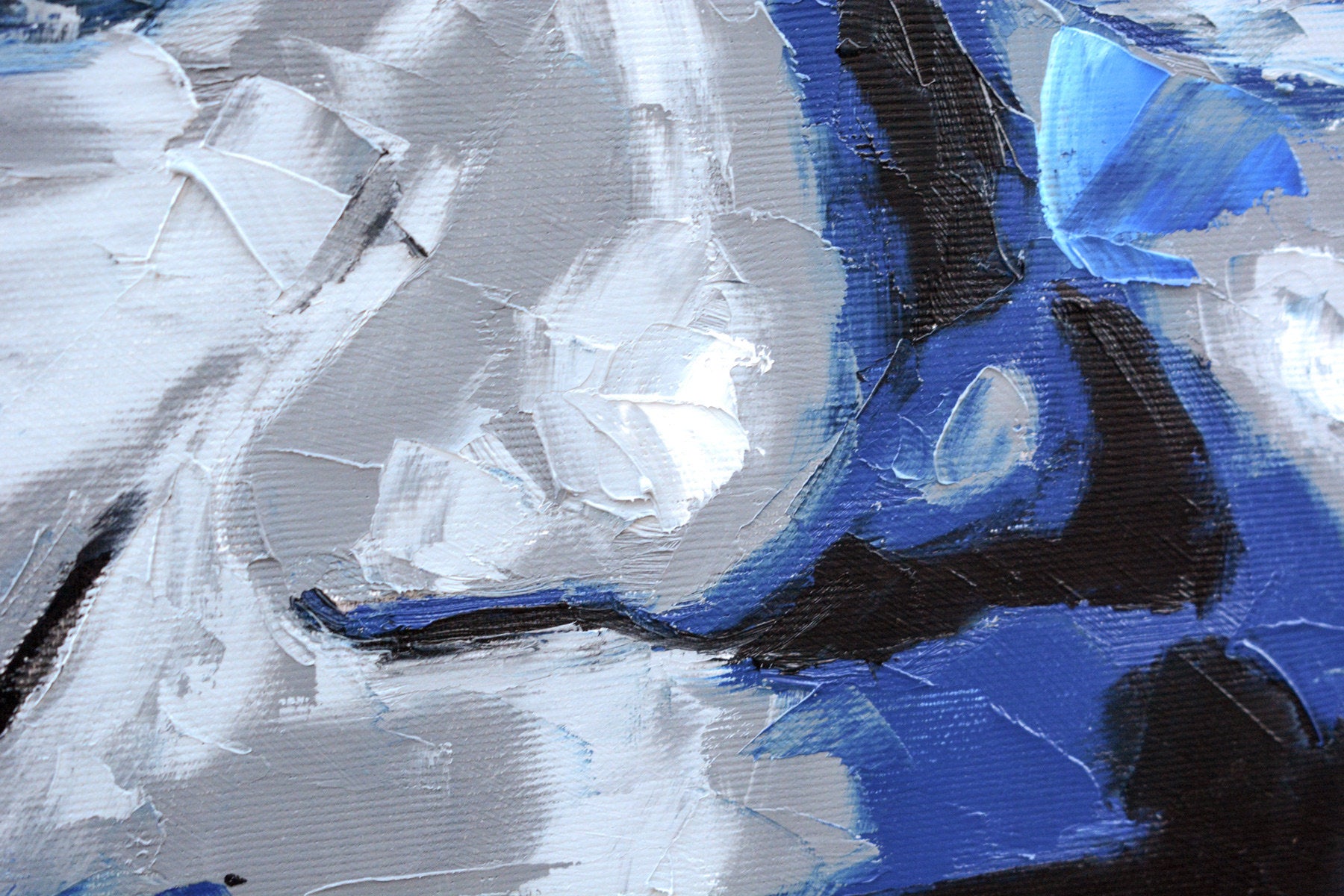 Nelson Mandela: Legacy in Blue